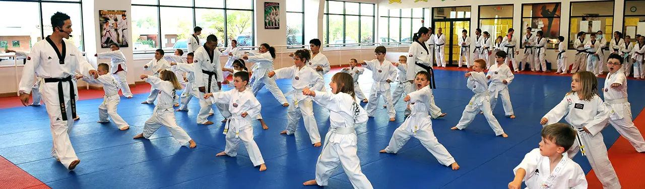 benefits-of-taekwondo-for-kids-fun-hobbies