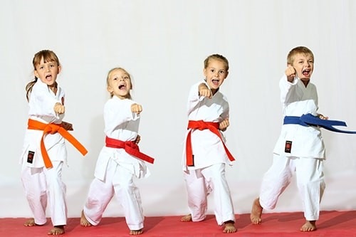 Karate Classes For 3 Year Olds Fun Hobbies