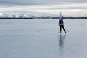 Nordic Skating Poles